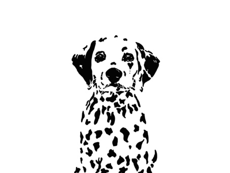 dog, black, art, web, JPG and PNG