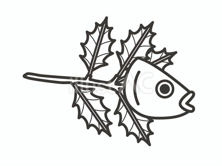 柊鰯03 柊鰯,節分,アイコンのイラスト素材