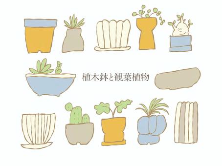 Illustration, flower pot, foliage plant, root plant, 
