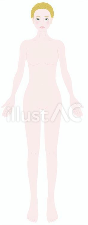 bodyA　NF 女性,美容,ビューティーのイラスト素材
