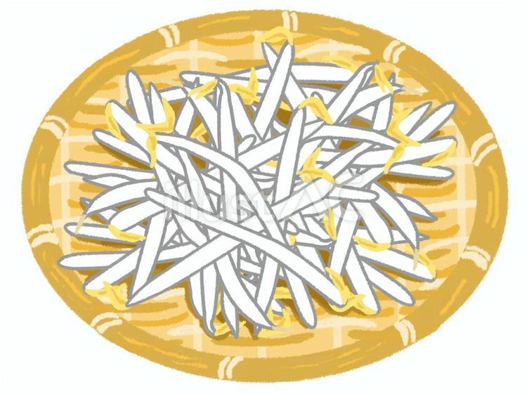 ざるの上に盛られた新鮮な小盛りのもやし もやし,野菜,淡色野菜のイラスト素材