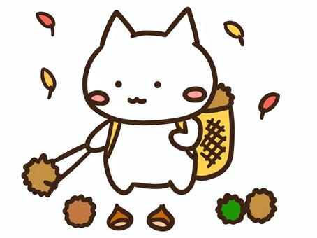 栗拾いをするかわいい白ねこ 栗拾い,栗,拾う,秋,ねこ,採集,かわいい,行楽,イベント,味覚狩りのイラスト素材