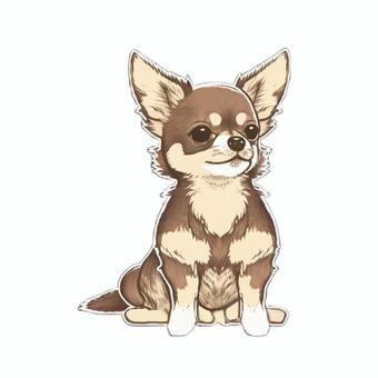 スケッチ風 チワワ(茶)のイラスト スケッチ風 チワワ(茶)のイラスト チワワ,茶色,ブラウンのイラスト素材