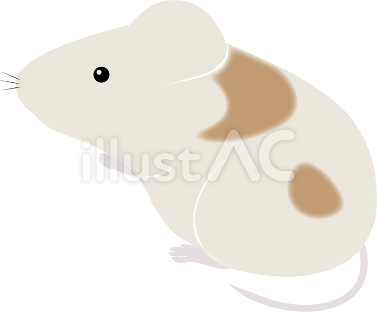 マウス　実験 マウス,実験,動物実験のイラスト素材