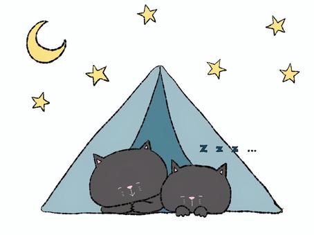 キャンプの夜（黒猫） キャンプ,キャンプ場,猫,テント,自然,屋外,野外,アウトドア,野良猫,飼い猫のイラスト素材