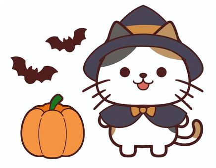 ハロウィングッズと魔法使いの三毛猫