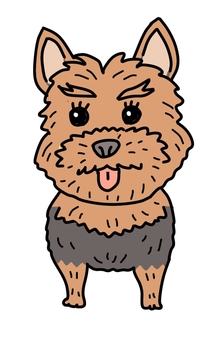 ヨークシャーテリアショート3 ヨークシャーテリアショート3 犬,動物,ペット,かわいい,デフォルメ,わんこ,キャラクター,毛色,手描き,ヨークシャーテリアのイラスト素材