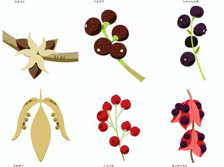 秋、冬の木の実　枠無し 秋,冬,植物,木の実,スタジイ,イヌビワ,シャシャンボ,アオギリ,ノイバラ,タンキリマメのイラスト素材