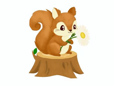 リス2025 4 リス,切り株,花,りす,動物,小動物,生き物,生物,かわいい,水彩のイラスト素材