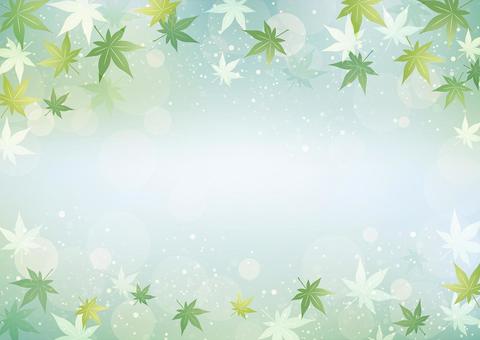 もみじの背景横 もみじの背景横 もみじ,青,夏,緑,葉,背景,メニュー,季節,華やか,さわやかのイラスト素材