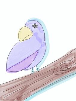 先輩鳥 聞く,カウンセリング,癒やし,先輩,人生のイラスト素材