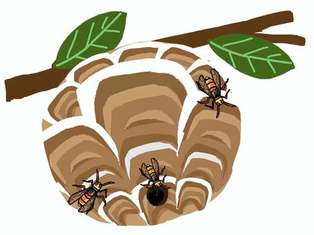 Illustration, sparrow bee, beehive, nest, 