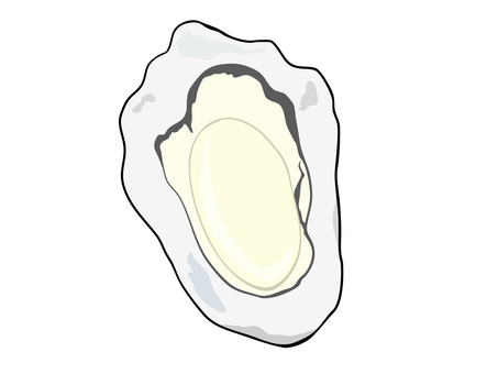 牡蠣 牡蠣,貝,主線あり,ゆるかわ,かわいい,広告,チラシ,cm,白背景,背景透過のイラスト素材