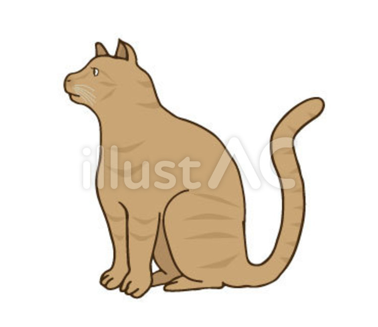 猫 猫 ねこ,ペット,動物のイラスト素材