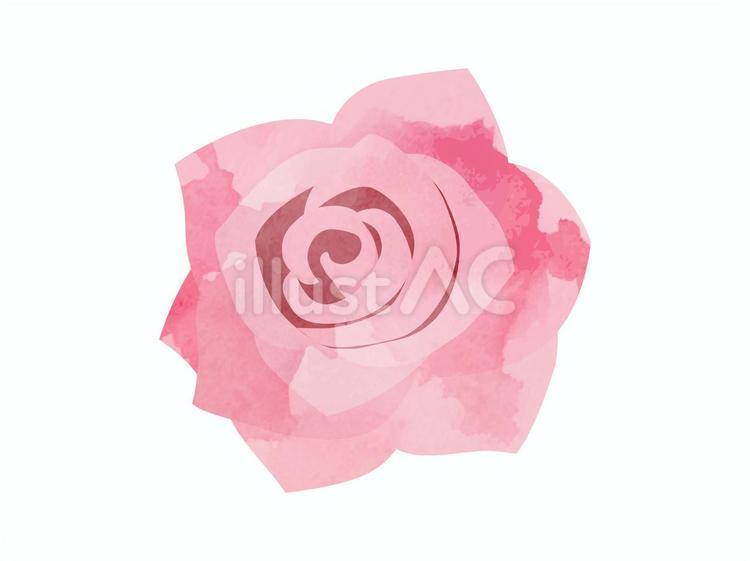 ピンクのバラ（水彩風）５ バラ,水彩風,ピンクのイラスト素材