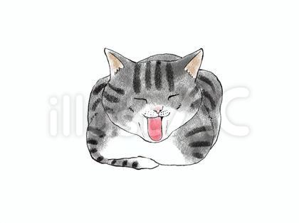 ねこ あくび 02 サバトラ