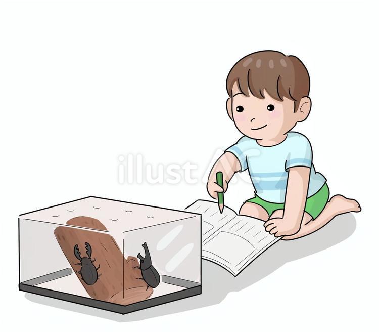 小学生夏休み観察日記 子ども,昆虫,観察のイラスト素材