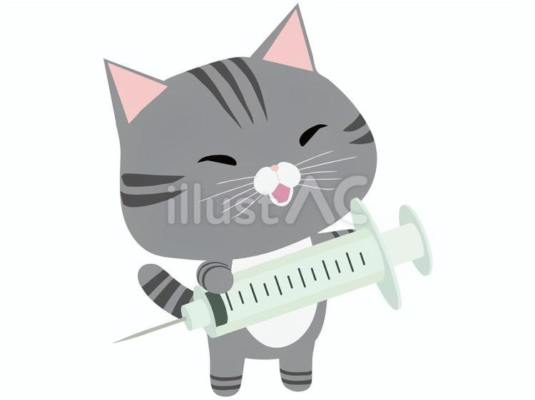 注射器_猫 注射,ワクチン,動物のイラスト素材