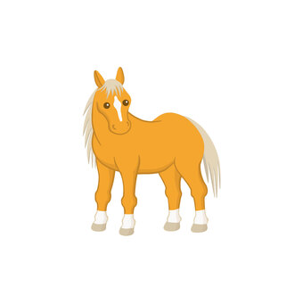 馬(ポニー) ポニー,ミニチュアホース,馬,流星柄,ソックスのイラスト素材