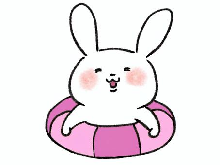 Illustration, rabbit, a float, a swimming pool, 