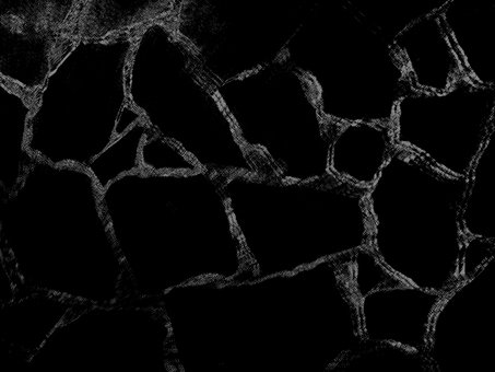 黒にグレーの網目状の神秘的な柄 抽象,網目,モノクロ,灰色,グレー,黒,背景,壁紙,テクスチャ,飾りのイラスト素材