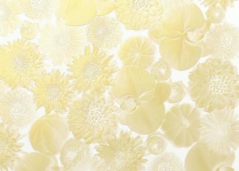 3d golden flower background (orchids, dahlias, squash), JPG 3d golden flower background (orchids, dahlias, squash), gold, flower, blue, JPG