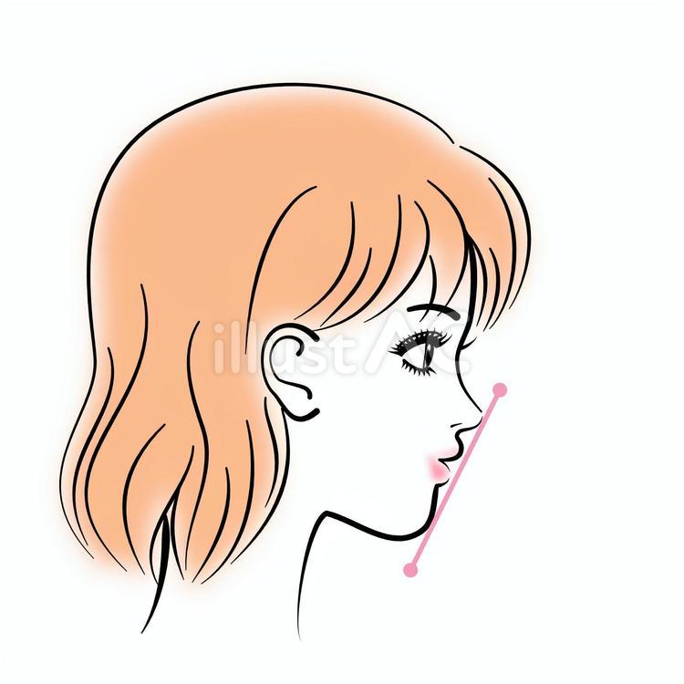 女性の横顔　Eライン eライン,女性,横顔のイラスト素材