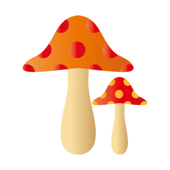 Mushrooms, mushroom, natural, autumn, JPG, PNG and EPS