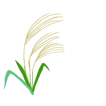 ススキ すすき,ススキ,植物,尾花,茅のイラスト素材