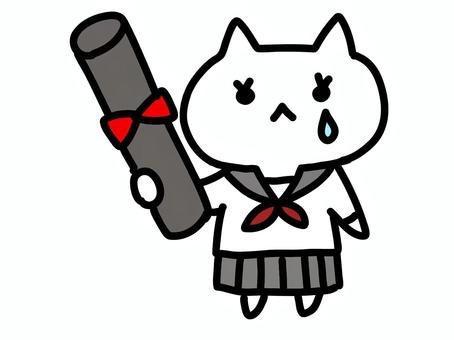 卒業証書とねこ女 卒業証書とねこ女 猫,白猫,可愛いのイラスト素材