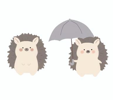 梅雨・傘をさしたハリネズミ ハリネズミ,はりねずみ,動物,傘,梅雨,淡い,可愛い,かわいい,傘をさす,傘を持つのイラスト素材