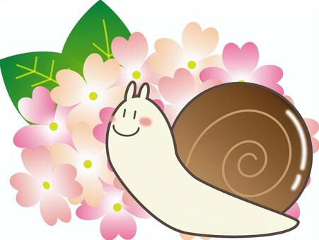 Snail (pink), snail, snails, hydrangea, JPG and PNG