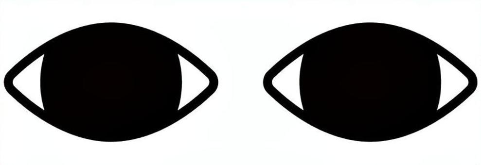 ジーと見つめる冷たい視線 目,見つめる,顔,人間,ジー,視線,注目,怖い,白目,黒目のイラスト素材