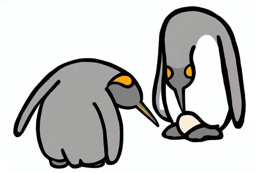 卵をのぞきこむキングペンギン キングペンギン,オウサマペンギン,ペンギン,鳥,グレー,白,黒,気になる,手描き,水族館のイラスト素材