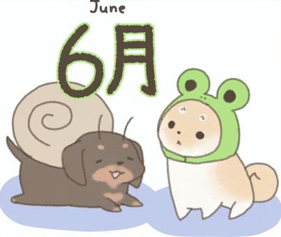 Wanko 35, JPG 和 PNG Wanko 35, , JPG 和 PNG