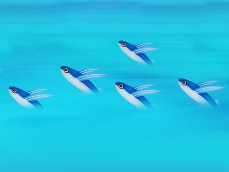 トビウオ, JPG トビウオ, 飛魚, 海水魚, 魚類, JPG