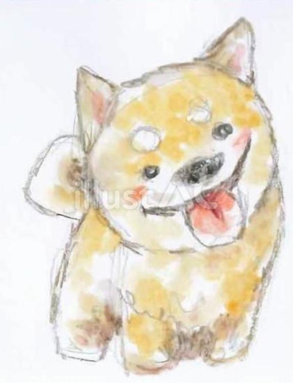 柴犬 柴犬,動物,かわいいのイラスト素材