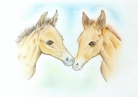 キスする仔馬 馬,キス,ふれあい,ともだち,動物のイラスト素材