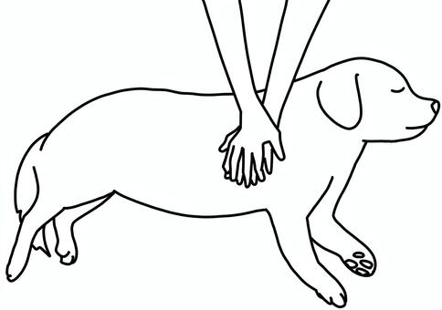 心臓マッサージされる犬　線画 心臓マッサージ,犬,蘇生,大型,線画のイラスト素材