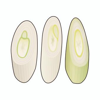 斜め切りにした長ネギのリアルイラスト 長ネギ,長葱,野菜,食材,健康,栄養,食育,献立,レシピ,メニューのイラスト素材