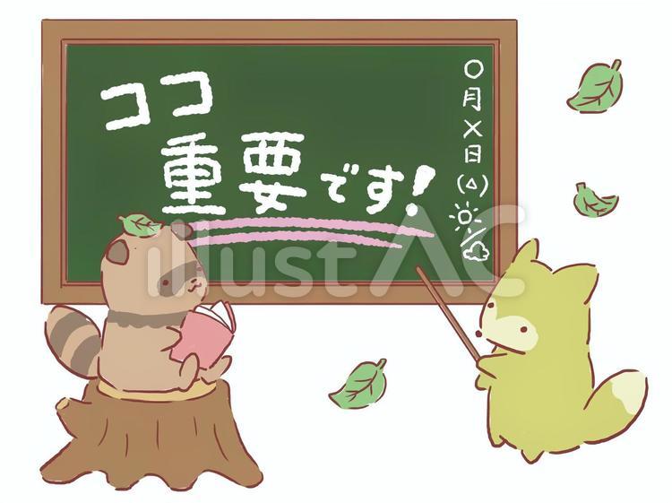 タヌキとキツネの勉強会 動物,本,図書館のイラスト素材