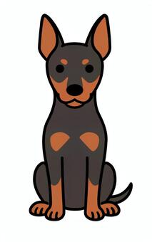 お座りするミニチュアピンシャー ミニチュアピンシャー,お座り,小型犬,尻尾,ペットのイラスト素材