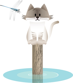 Illustration, cat, dragonfly, summer, 