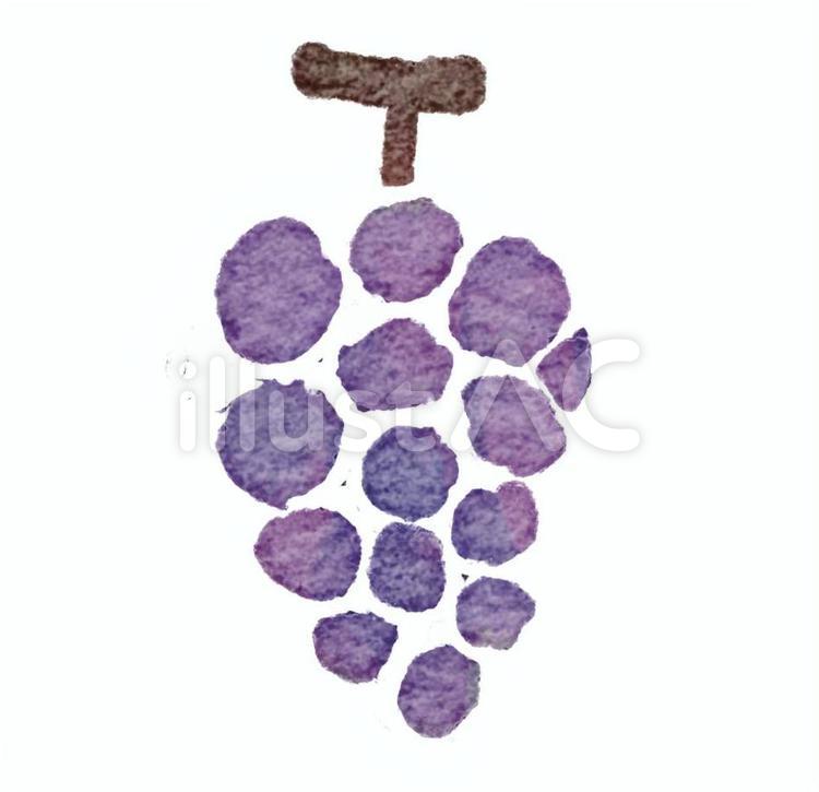 水彩木版画風のブドウ💕🐥🍇 ぶどう,かわいい,水彩のイラスト素材