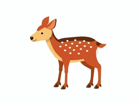 シカ メス シカ メス 鹿,雌,ツノ,奈良,公園,山,森,猟,ベクター,イラストのイラスト素材