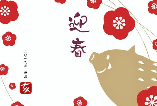 Illustration, new year's card, year of age, hai, 