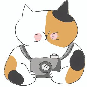 カメラを撮る三毛猫ちゃん♪ かわいい,カメラ,写真,撮影,趣味,撮る,ねこ,三毛猫,動物,いきもののイラスト素材