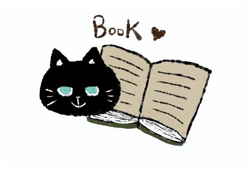 Cats and books, cat, animal, cute, JPG