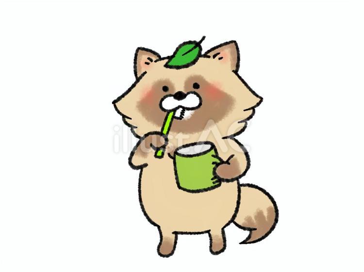 ハミガキをするたぬきさん 狸,たぬきさん,歯磨きのイラスト素材