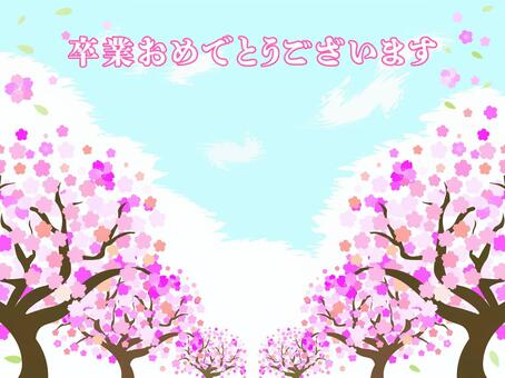 Congratulations on graduation message cherry blossom background, wiśniowe drzewo, wiosna, kwiaty, JPG, PNG and AI